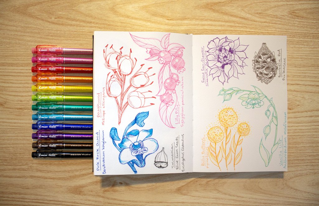 Set of colourful FriXion pens with floral sketches in a journal, one of the best pens for journaling and note taking.